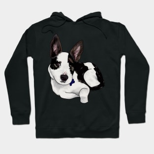 Mutt Hoodie